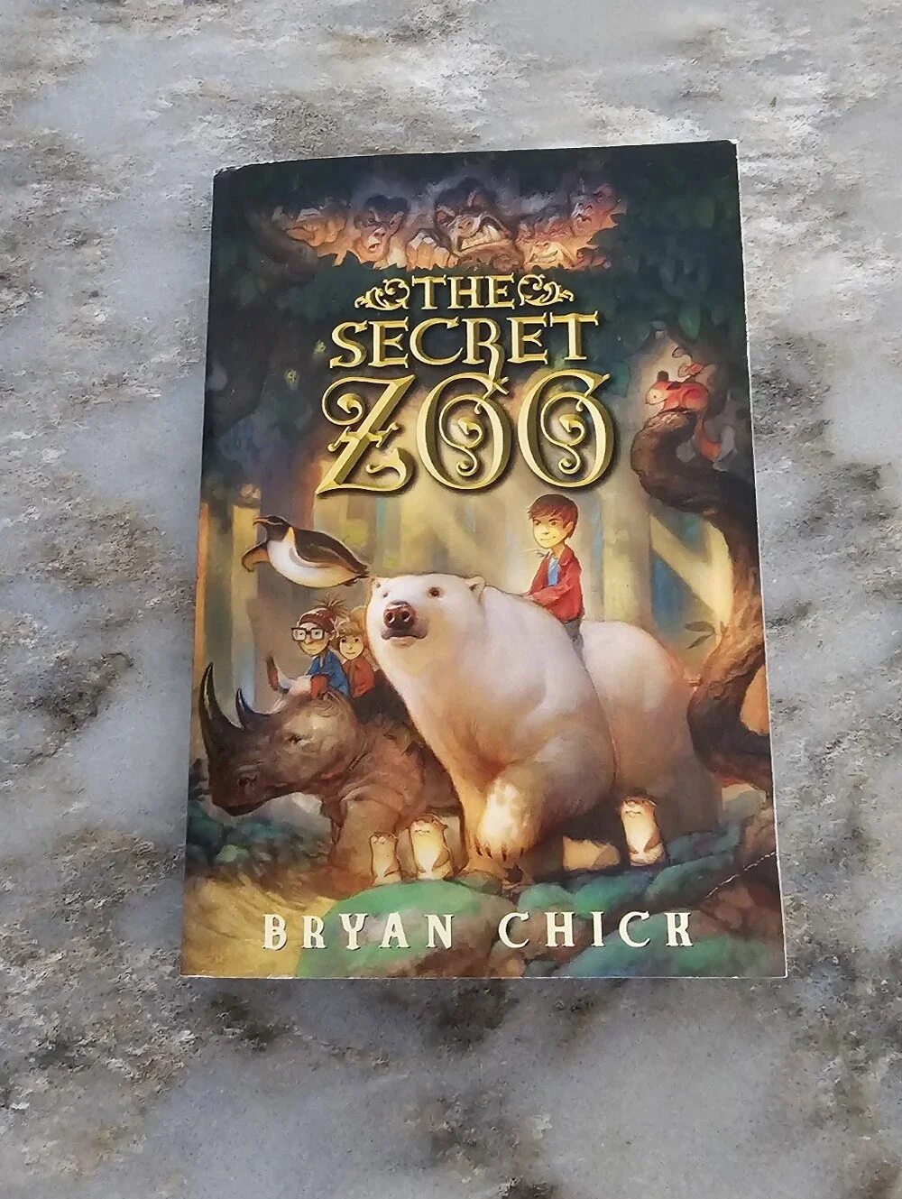 The Secret Zoo by Bryan Chick Paperback Novel Fantasy Adventure Age 9-12